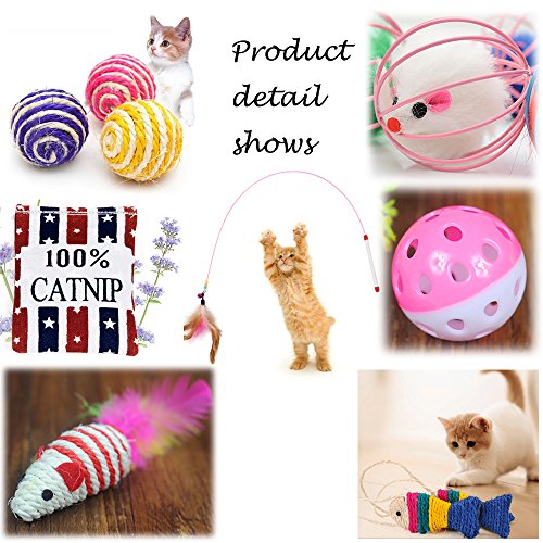 Juguetes para Gatos, 10 Piezas Juguete Interactivo para Gatos con Plumas para Kitty, mascotas juguetes, Juguete para Perros