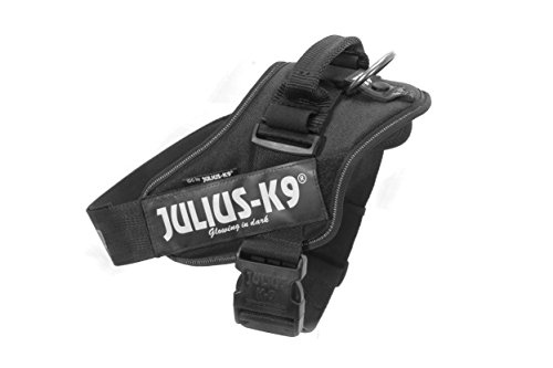 JULIUS-K9 16IDC Power Harness