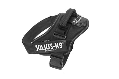 JULIUS-K9 16IDC Power Harness