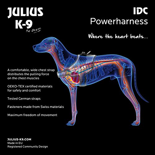 JULIUS-K9 Arnés JULIUS-K9 IDC, 1/L, 63–85 cm/50 mm, Rojo, Perro