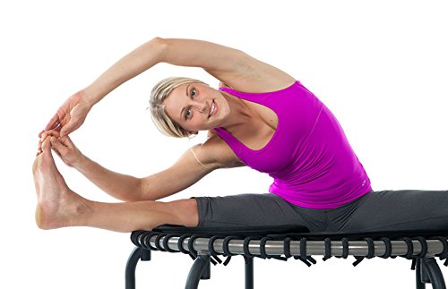 JumpSport 570 Pro - Trampolín para fitness. El elegido por los profesionales. Superficie de salto extragrande para mayor libertad. Patas arqueadas antivuelco. Zona de salto segura y resistente. Trampolín de primera calidad. Incluye 1 DVD recopilatorio de 