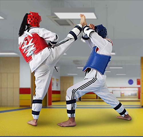 JXS-Outdoor Karate y Lucha Protector 5 x Kit - Alta Elasticidad EVA Relleno - Protector de la Ingle, Casco, Peto, espinilleras, Protectores de los Brazos,Azul,L