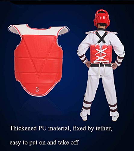 JXS Traje de Taekwondo de Corea del Protector de Engranaje, Protector del pie, antebrazo Protectores, Peto Reversible Cuerpo de Taekwondo Sanda Boxeo,Men,150~160cm