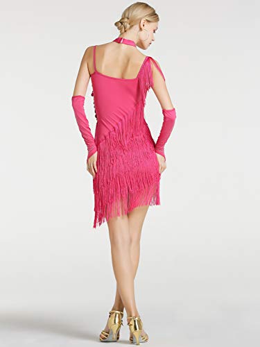 Kaiyei Hembra Latina Baile Traje de Malla Lentejuelas Borla Latina Ropa Vestido para Las Mujeres de América Latina Salsa Ballroomdance Vestidos Rose XL Kaiyei Hembra Latina Baile Traje de Malla Lentejuelas Borla Latina Ropa Vestido para Las Mujeres de América Latina Salsa Ballroomdance Vestidos Rose XL