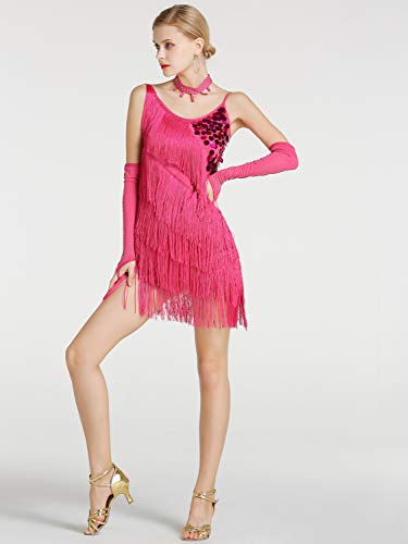 Kaiyei Hembra Latina Baile Traje de Malla Lentejuelas Borla Latina Ropa Vestido para Las Mujeres de América Latina Salsa Ballroomdance Vestidos Rose XL Kaiyei Hembra Latina Baile Traje de Malla Lentejuelas Borla Latina Ropa Vestido para Las Mujeres de América Latina Salsa Ballroomdance Vestidos Rose XL