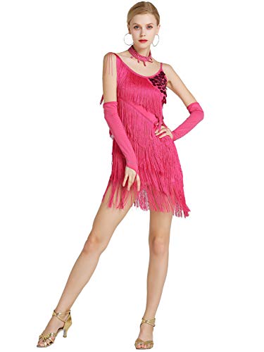 Kaiyei Hembra Latina Baile Traje de Malla Lentejuelas Borla Latina Ropa Vestido para Las Mujeres de América Latina Salsa Ballroomdance Vestidos Rose XL Kaiyei Hembra Latina Baile Traje de Malla Lentejuelas Borla Latina Ropa Vestido para Las Mujeres de América Latina Salsa Ballroomdance Vestidos Rose XL