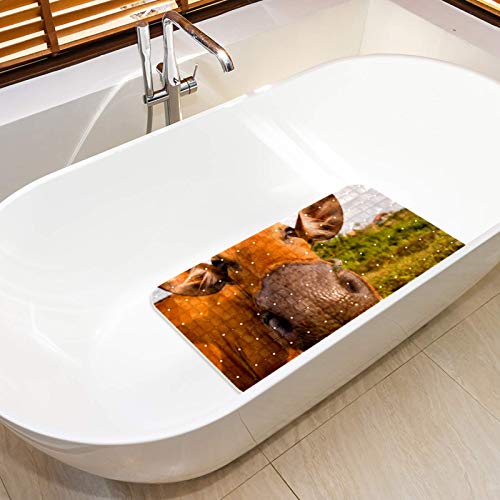 KAMEARI Alfombrilla de baño antideslizante con ventosas y orificios de drenaje, alfombrillas de baño lavables a máquina, ganado, vaca, ganado, cierre al aire libre KAMEARI Alfombrilla de baño antideslizante con ventosas y orificios de drenaje, alfombrillas de baño lavables a máquina, ganado, vaca, ganado, cierre al aire libre
