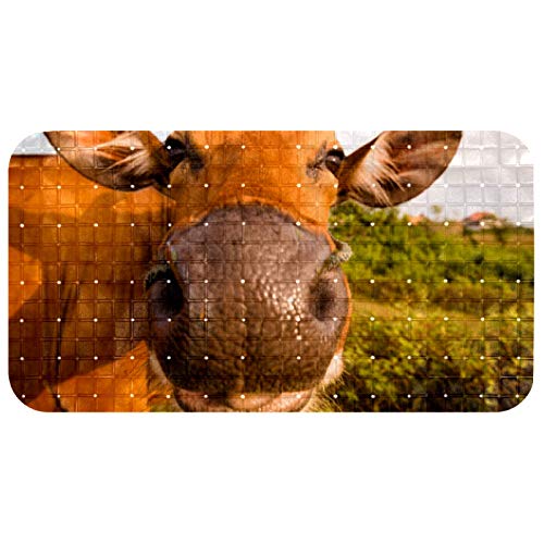 KAMEARI Alfombrilla de baño antideslizante con ventosas y orificios de drenaje, alfombrillas de baño lavables a máquina, ganado, vaca, ganado, cierre al aire libre KAMEARI Alfombrilla de baño antideslizante con ventosas y orificios de drenaje, alfombrillas de baño lavables a máquina, ganado, vaca, ganado, cierre al aire libre
