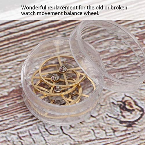 Kamenda 5 piezas de reparación de reloj pieza de equilibrio de rueda de repuesto para reloj 8205, herramienta de reloj para relojero Kamenda 5 piezas de reparación de reloj pieza de equilibrio de rueda de repuesto para reloj 8205, herramienta de reloj para relojero