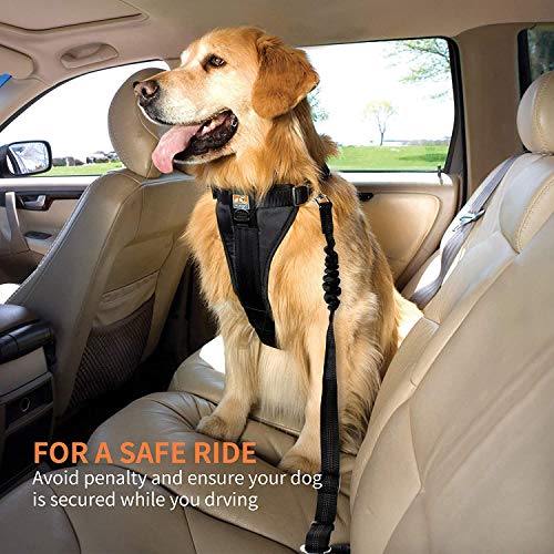 Karpo Cinturón de Seguridad de Coche para Perros, Cinturón Perro Coche con elástico y Fuerte mosquetón, Universal para trasportar Mascotas Más Duradero para Todas Las Razas Perros y Gatos, Negro 2pcs