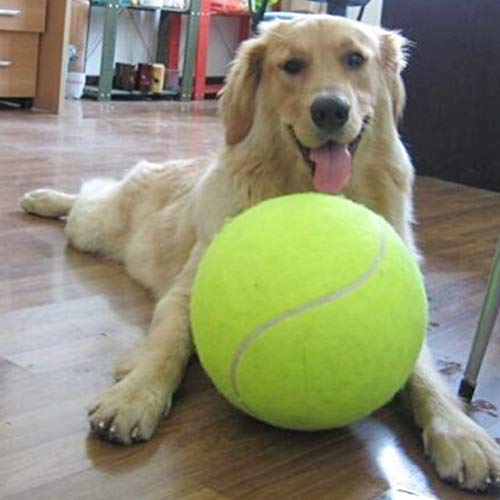 KENANLAN Pelota de tenis para grandes juguetes para mascotas, playa deportiva al aire libre con pelota de tenis gigante de 24 cm KENANLAN Pelota de tenis para grandes juguetes para mascotas, playa deportiva al aire libre con pelota de tenis gigante de 24 cm