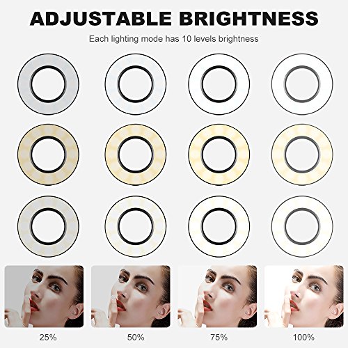K&F Concept Anillo Luz LED 9cm con Soporte de Manguera de Brazo Flexible para Móviles con Control Remoto, 3 Modos de Luz y 10 Brillos, Aro de Luz para Maquillaje TIK Tok Vivo Facebook y Youtube Vlog K&F Concept Anillo Luz LED 9cm con Soporte de Manguera de Brazo Flexible para Móviles con Control Remoto, 3 Modos de Luz y 10 Brillos, Aro de Luz para Maquillaje TIK Tok Vivo Facebook y Youtube Vlog