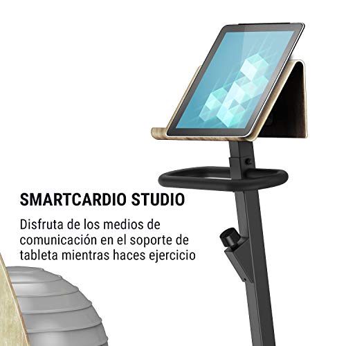Klarfit Roomik Cycle Bicicleta estática con balón de Gimnasia - Bici de Fitness , Volante de inercia de 8 kg , 8 resistencias , Tracción de Correa , Soporte de Tablet , Abedul , 100 kg , Negro-marrón Klarfit Roomik Cycle Bicicleta estática con balón de Gimnasia - Bici de Fitness , Volante de inercia de 8 kg , 8 resistencias , Tracción de Correa , Soporte de Tablet , Abedul , 100 kg , Negro-marrón