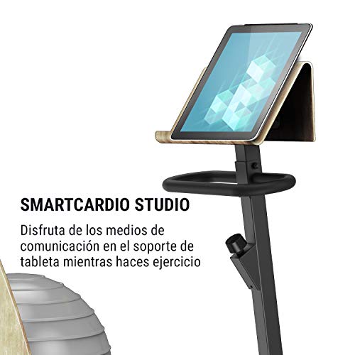 Klarfit Roomik Cycle Bicicleta estática con balón de Gimnasia - Bici de Fitness , Volante de inercia de 8 kg , 8 resistencias , Tracción de Correa , Soporte de Tablet , Abedul , 100 kg , Negro-marrón