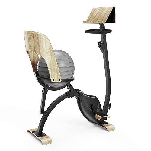 Klarfit Roomik Cycle Bicicleta estática con balón de Gimnasia - Bici de Fitness , Volante de inercia de 8 kg , 8 resistencias , Tracción de Correa , Soporte de Tablet , Abedul , 100 kg , Negro-marrón Klarfit Roomik Cycle Bicicleta estática con balón de Gimnasia - Bici de Fitness , Volante de inercia de 8 kg , 8 resistencias , Tracción de Correa , Soporte de Tablet , Abedul , 100 kg , Negro-marrón