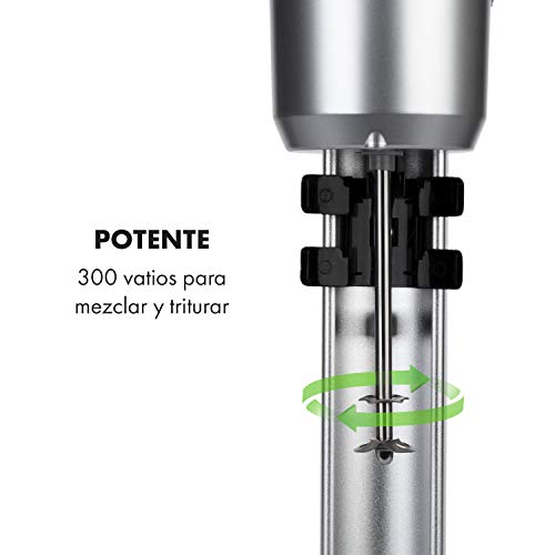 Klarstein Pro Kraftprotz Batidora para bedidas - 300W, capacidad 0.9 litros, agitador, batidora de leche y proteína, mezclador de bebidas, acero inoxidable, plata