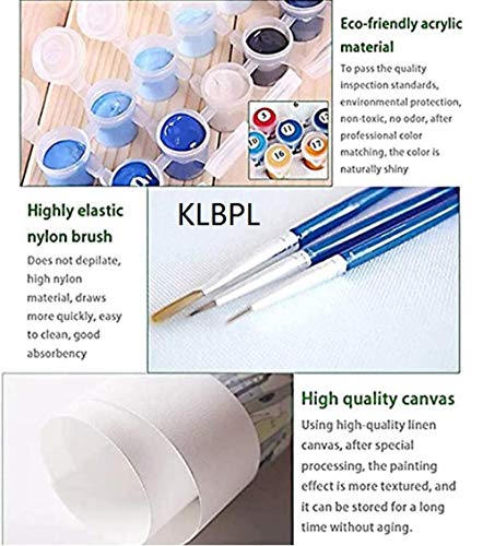 KLBPL Pintar con Numeros para Adultos Zapatillas De Ballet para Niña Pintura por Números con Pinceles Y Pinturas Decoraciones para El Hogar 16 * 20 Pulgadas Sin Marco