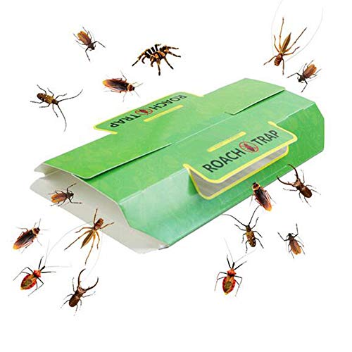 Klhamky 12 Trampas Trampas contra Escarabajos y Cucarachas, Trampa Adhesiva Cucarachas Bolsa, con atrayente Natural de Efecto rápido