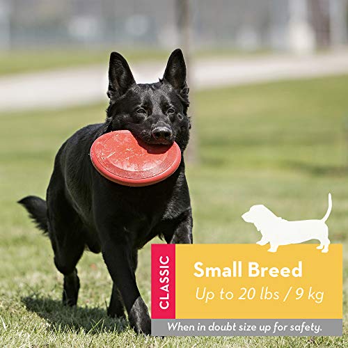 KONG - Flyer - Frisbee de Caucho Resistente - para Perros Pequeños