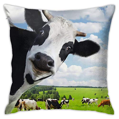 Kuh, Weide, Grasland, fundas de almohada, funda de cojín decorativa para sofá, decoración del hogar, regalos de Navidad, fiesta de Año Nuevo Kuh, Weide, Grasland, fundas de almohada, funda de cojín decorativa para sofá, decoración del hogar, regalos de Navidad, fiesta de Año Nuevo