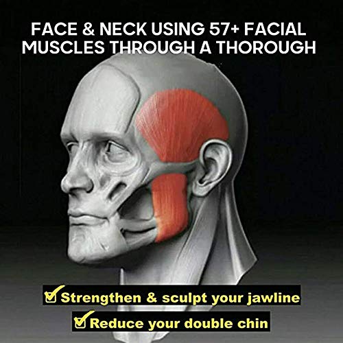 KWY Jawzrsize-Jaw Exerciser Tonificación del Cuello Nivel Principiante, Ejercitador Fitness Cuello esférico Tonificación Facial Mandíbula del tamaño de la mandíbula, Define la línea de la mandíbula KWY Jawzrsize-Jaw Exerciser Tonificación del Cuello Nivel Principiante, Ejercitador Fitness Cuello esférico Tonificación Facial Mandíbula del tamaño de la mandíbula, Define la línea de la mandíbula