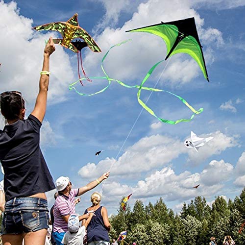 KYHS Cometa de gran tamaño para deportes al aire libre diversión educación suministros una cometa con un ancho de 2 metros y una altura de 1 metro, con una cola negra y verde de 10 metros