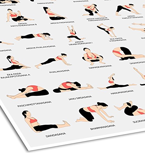 Lab NO 4 Backbending Yoga Poses and Asanas Poster in (12" X 18") Size Lab NO 4 Backbending Yoga Poses and Asanas Poster in (12" X 18") Size