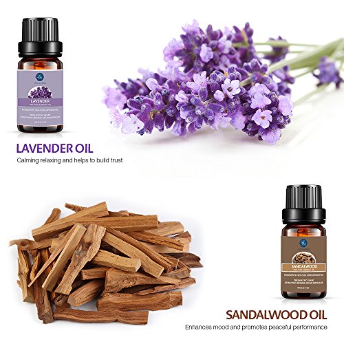 Lagunamoon Aceites Esenciales, Top 10 Set de Viaje de Aceites de Aromaterapia de Lavanda, Eucalipto, Hierba de Limón, Menta, Arból de Té, Jazmín, Aceites Esenciales para Humidificador, 100% Puros Lagunamoon Aceites Esenciales, Top 10 Set de Viaje de Aceites de Aromaterapia de Lavanda, Eucalipto, Hierba de Limón, Menta, Arból de Té, Jazmín, Aceites Esenciales para Humidificador, 100% Puros