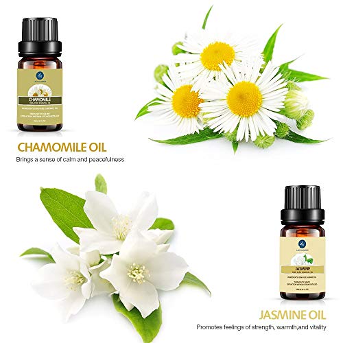 Lagunamoon Aceites Esenciales, Top 10 Set de Viaje de Aceites de Aromaterapia de Lavanda, Eucalipto, Hierba de Limón, Menta, Arból de Té, Jazmín, Aceites Esenciales para Humidificador, 100% Puros Lagunamoon Aceites Esenciales, Top 10 Set de Viaje de Aceites de Aromaterapia de Lavanda, Eucalipto, Hierba de Limón, Menta, Arból de Té, Jazmín, Aceites Esenciales para Humidificador, 100% Puros