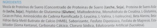 Lamberts All in One Suplemento para Deportistas, Sabor a Chocolate - 1450 gr Lamberts All in One Suplemento para Deportistas, Sabor a Chocolate - 1450 gr