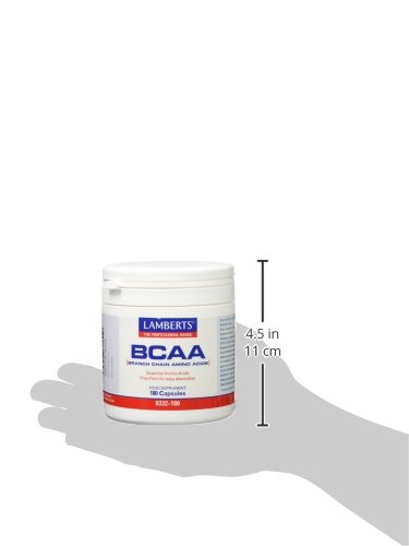 Lamberts BCAA - 180 Cápsulas