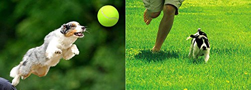 Lanzador de pelotas de tenis para perros y cachorros de gran tamaño gigante para jugar al aire libre