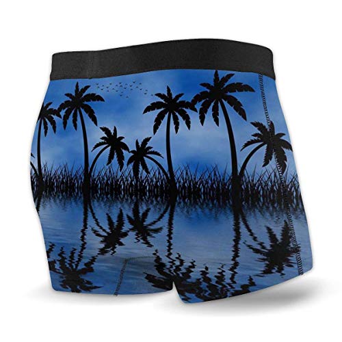 Lawenp Calzoncillo Tipo bóxer para Hombre Palm Tree Nature Island Ultra Soft Ropa Interior para Hombre