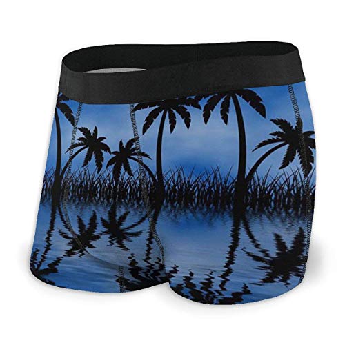 Lawenp Calzoncillo Tipo bóxer para Hombre Palm Tree Nature Island Ultra Soft Ropa Interior para Hombre