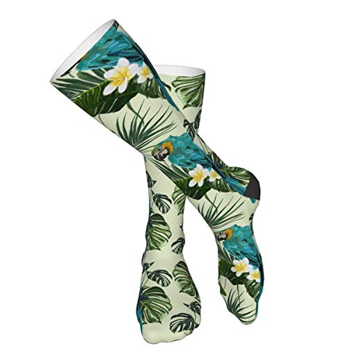 Lawenp loro hojas de palma patrón plumeria Hombres 's Mujeres' Calcetines de compresión Calcetines de vestir hasta la rodilla Lawenp loro hojas de palma patrón plumeria Hombres 's Mujeres' Calcetines de compresión Calcetines de vestir hasta la rodilla