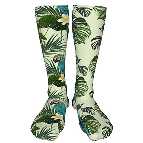 Lawenp loro hojas de palma patrón plumeria Hombres 's Mujeres' Calcetines de compresión Calcetines de vestir hasta la rodilla