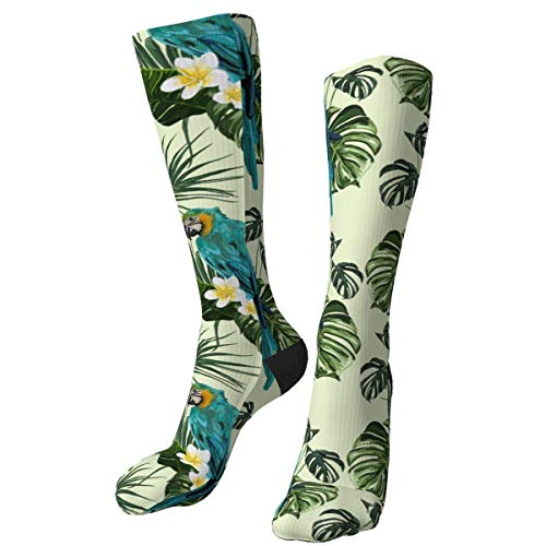 Lawenp loro hojas de palma patrón plumeria Hombres 's Mujeres' Calcetines de compresión Calcetines de vestir hasta la rodilla Lawenp loro hojas de palma patrón plumeria Hombres 's Mujeres' Calcetines de compresión Calcetines de vestir hasta la rodilla