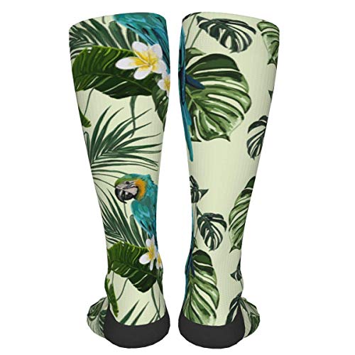 Lawenp loro hojas de palma patrón plumeria Hombres 's Mujeres' Calcetines de compresión Calcetines de vestir hasta la rodilla Lawenp loro hojas de palma patrón plumeria Hombres 's Mujeres' Calcetines de compresión Calcetines de vestir hasta la rodilla