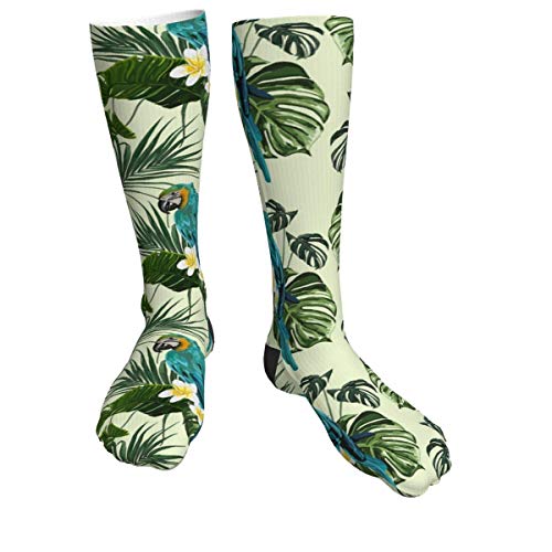 Lawenp loro hojas de palma patrón plumeria Hombres 's Mujeres' Calcetines de compresión Calcetines de vestir hasta la rodilla Lawenp loro hojas de palma patrón plumeria Hombres 's Mujeres' Calcetines de compresión Calcetines de vestir hasta la rodilla