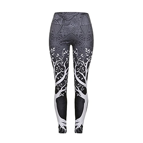 Leggings Deportivos para Mujeres Damas Niñas Malla Pantalones Capris Pantalones Medias Elásticas Skinny Slim Yoga Gym Workout Entrenamiento Físico Athletic Leggings Deportivos para Mujeres Damas Niñas Malla Pantalones Capris Pantalones Medias Elásticas Skinny Slim Yoga Gym Workout Entrenamiento Físico Athletic