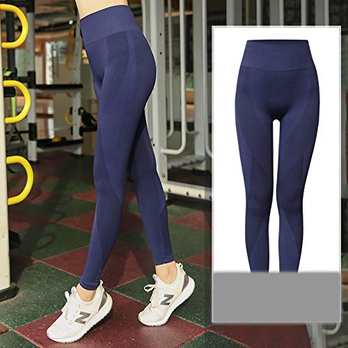 Leggings Plus Size Fitness Seamless Leggings Women Yoga Sport Tummy Pants High Waist Workout Trousers Slim Gym Pants Sportswears 4XL Blue Leggings Plus Size Fitness Seamless Leggings Women Yoga Sport Tummy Pants High Waist Workout Trousers Slim Gym Pants Sportswears 4XL Blue