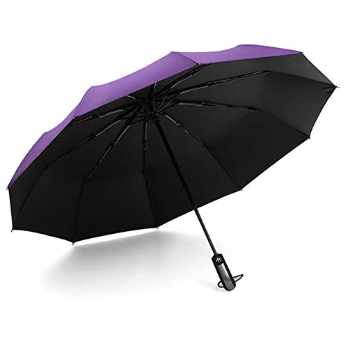 Leobtain Paraguas Plegable de Viaje a Prueba de Viento con Recubrimiento Auto Abierto Cierre Ligero 10 Costillas Automático Sun Rain Paraguas Canopy Compact con luz Reflectante con Agua Leobtain Paraguas Plegable de Viaje a Prueba de Viento con Recubrimiento Auto Abierto Cierre Ligero 10 Costillas Automático Sun Rain Paraguas Canopy Compact con luz Reflectante con Agua