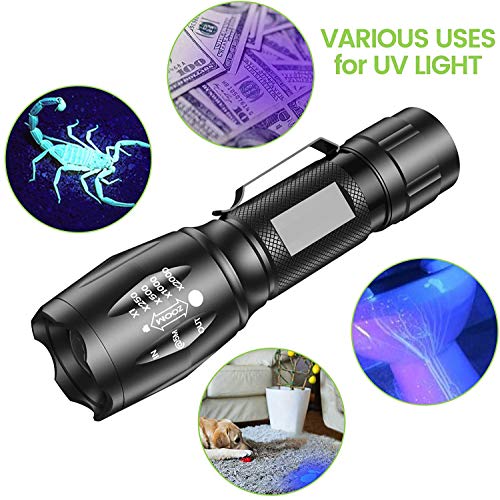 LETION linterna ultravioleta Led Linterna UV,Luz negra UV 2 en 1 con Reflejo 395nm luz ultravioleta, Modo 4 Para Ropa de Mascotas Detección de Hongos [Clase de eficiencia energética A]