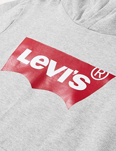 Levi's Kids Lvb Batwing Screenprint Hoodie Sudadera Grey Heather para NiƱos Levi's Kids Lvb Batwing Screenprint Hoodie Sudadera Grey Heather para NiƱos