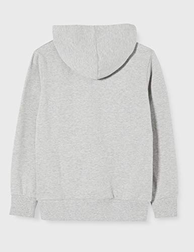 Levi's Kids Lvb Batwing Screenprint Hoodie Sudadera Grey Heather para NiƱos Levi's Kids Lvb Batwing Screenprint Hoodie Sudadera Grey Heather para NiƱos
