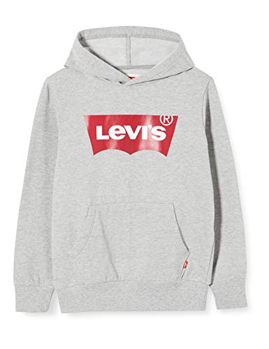 Levi's Kids Lvb Batwing Screenprint Hoodie Sudadera Grey Heather para NiƱos Levi's Kids Lvb Batwing Screenprint Hoodie Sudadera Grey Heather para NiƱos