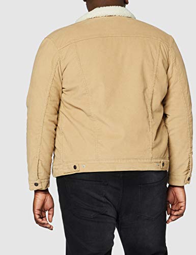 Levi's Type 3 Sherpa Trucker Chaqueta, True Chino Cord Better, XL para Hombre