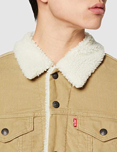 Levi's Type 3 Sherpa Trucker Chaqueta, True Chino Cord Better, XL para Hombre