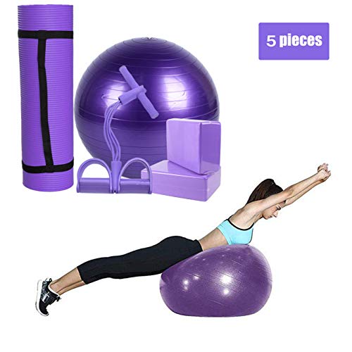 LFSTY Juego De 5 Piezas De Yoga, Paquete De 2 Bloques De Yoga, Kit De Pelota De Yoga De 65 Cm, Tapete De Yoga Antideslizante Extractor De Tobillo Rally De Yoga Casero Multiusos