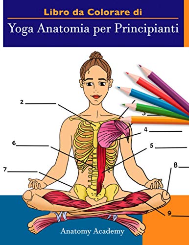 Libro da Colorare di Yoga Anatomia per Principianti: 50+ Incredibilmente Dettagliato Autotest per Principianti Lo Yoga per Principianti Poses Yoga a ... Istruttori di Yoga, Insegnanti e Appassionati